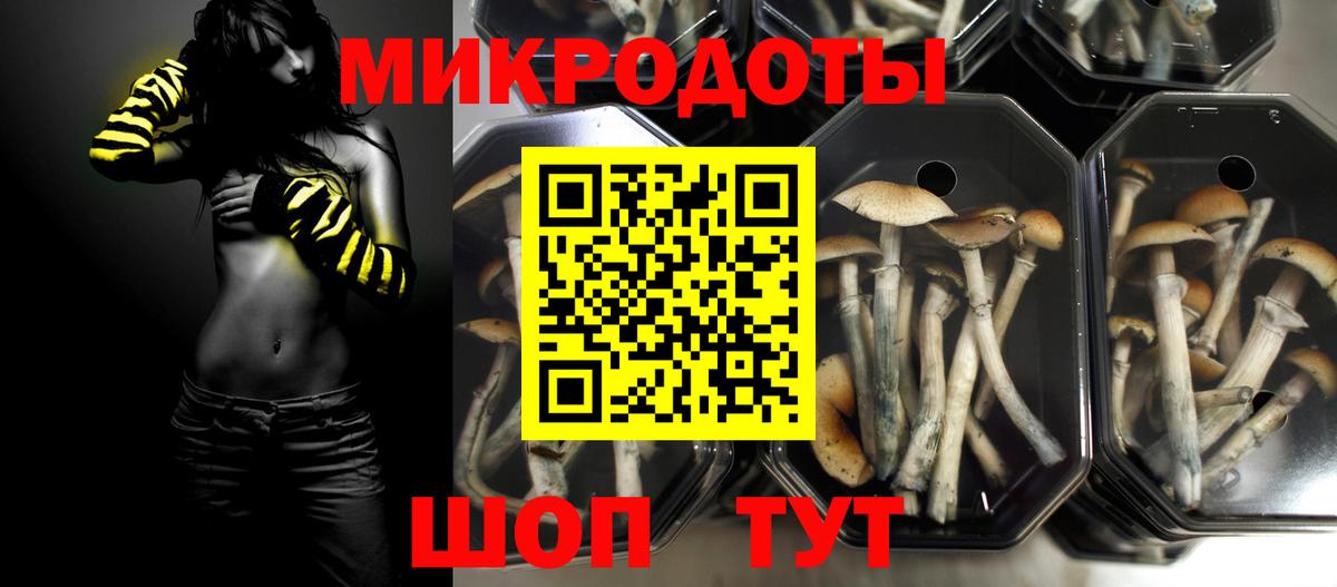 Богородск  Псилоцибиновые грибы Psilocybe  Вход с VPN 